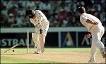 _246413_macgill_wicket.jpg