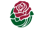 ROSES.png