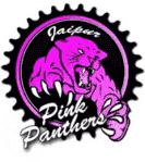 Jaipur Pink Panthers V1.png