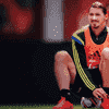 ibra.png