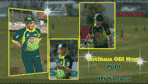 Australia ODI Home 2014.png