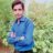 Mushtaque Ali