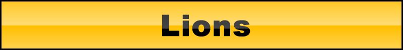 Lionsbanner.jpg