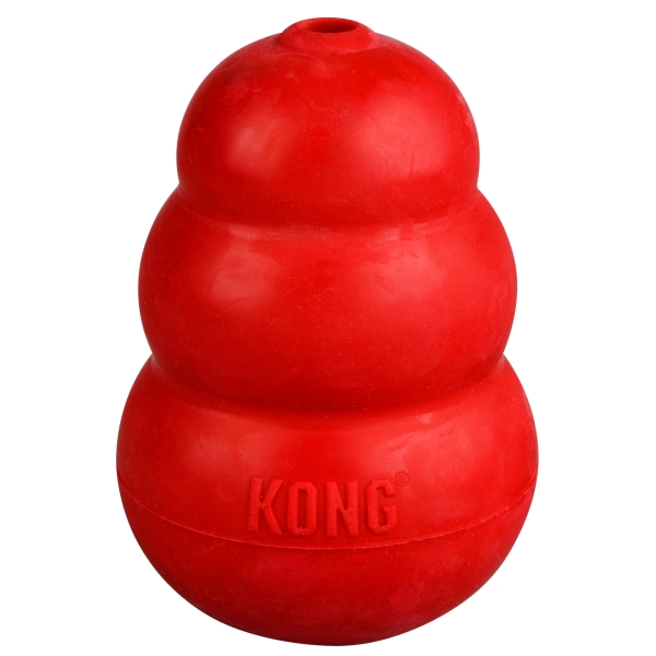 kong.jpg