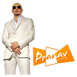 th_Pitbul-1.png