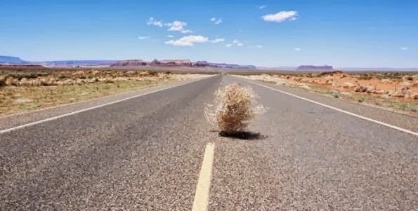 tumbleweed.jpg