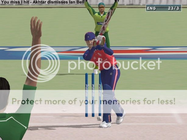 pic12.jpg