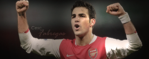 NiceandsimpleFabregas.png