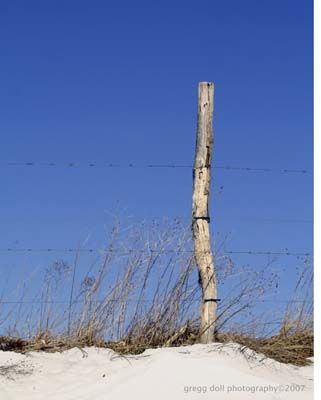 FencePost.jpg