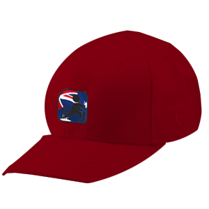 RedCap.png