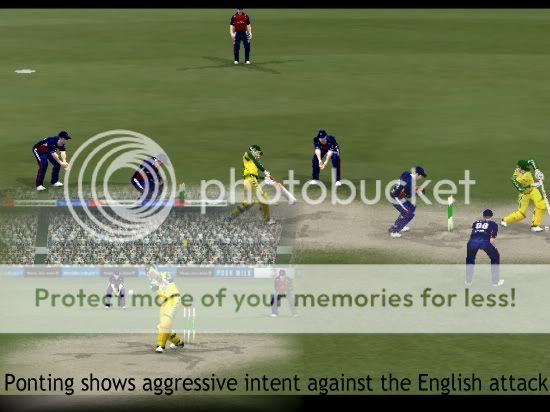 Cricket20052005-12-0516-02-40-36.jpg