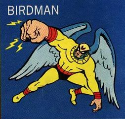 birdman.jpg