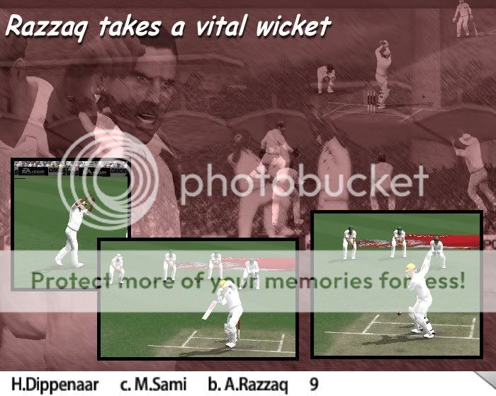 Cricket20052006-08-1217-12-16-48.jpg