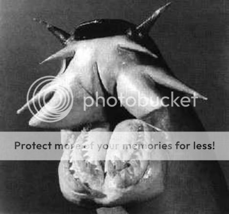 Hagfish.jpg