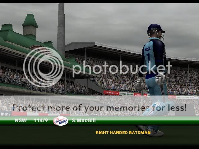 Cricket072008-11-2500-40-35-94.jpg