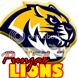 punjabLions-1.png