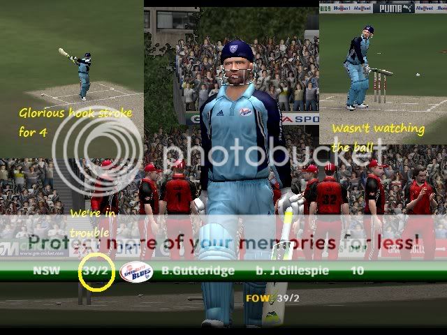 Cricket072008-11-2500-10-55-72.jpg