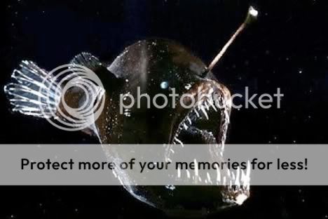 angler-fish.jpg