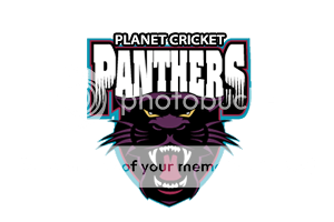 PCPanthers.png