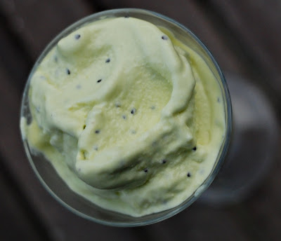 kiwi-icecream2.jpg