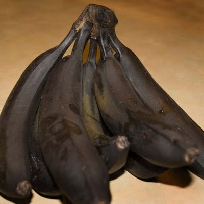 Black_Bananas.JPG
