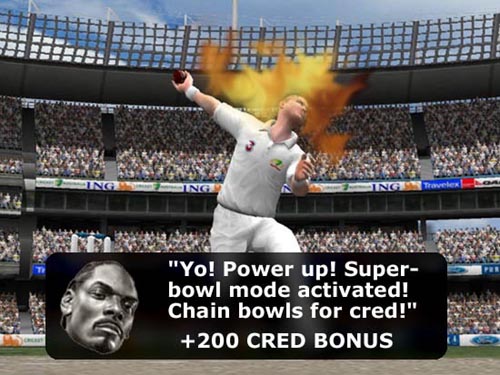 cricket1.jpg