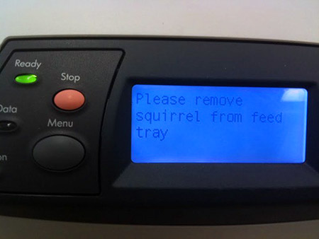 funny_printer_error.jpg