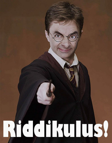 Riddikulus-harry-potter-30236902-391-500.jpg