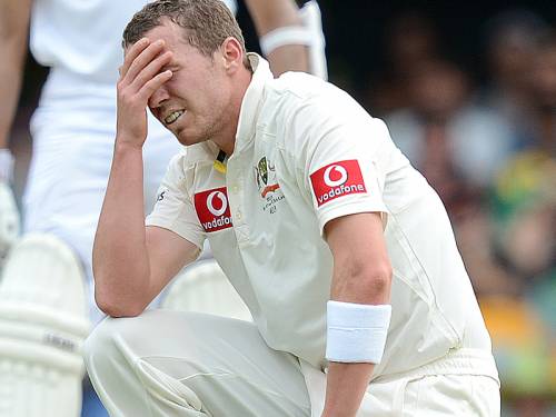 aap_8751_121129_PeterSiddle_800x600.jpg